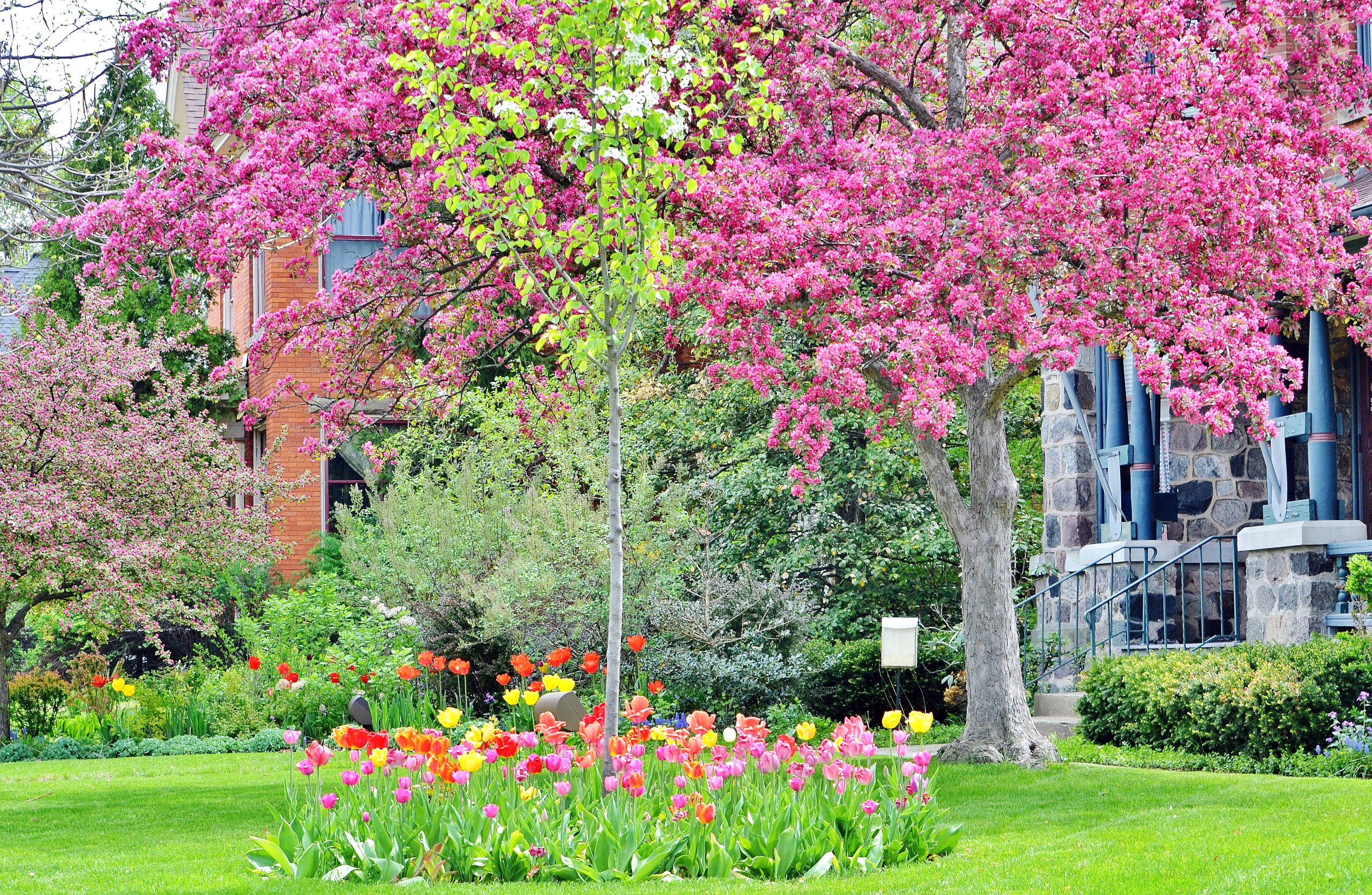 Spring Home Improvement Projects in Roanoke